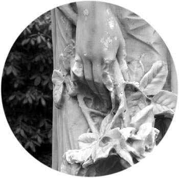 Detail Hand hand
