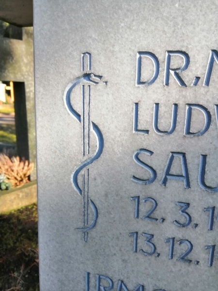 Schlange auf dem Stuttgarter Pragfriedhof