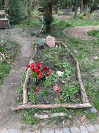 Frauenfriedhof Berlin 